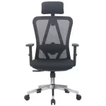 E-Dra EEC213 Black Ergonomic Office Chair